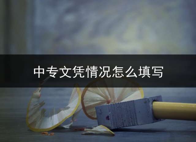 中专文凭情况怎么填写？