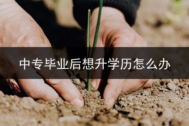 中专毕业后想升学历怎么办？