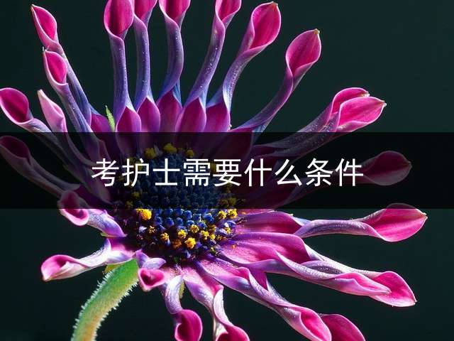 考护士需要什么条件？