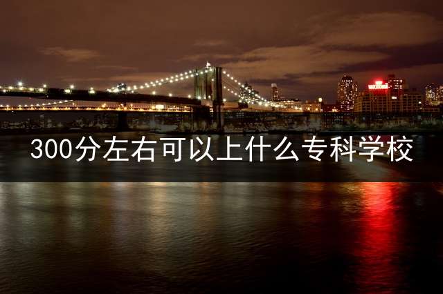 300分左右可以上什么专科学校？