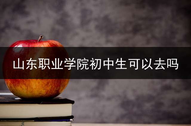 山东职业学院初中生可以去吗？