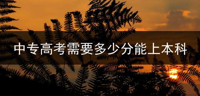 中专高考需要多少分能上本科？