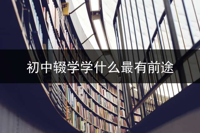 初中辍学学什么最有前途？