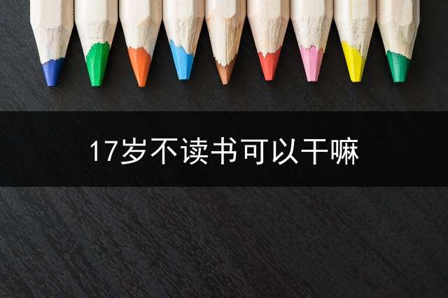 17岁不读书可以干嘛？ (在江门17岁辍学适合学什么技术？)