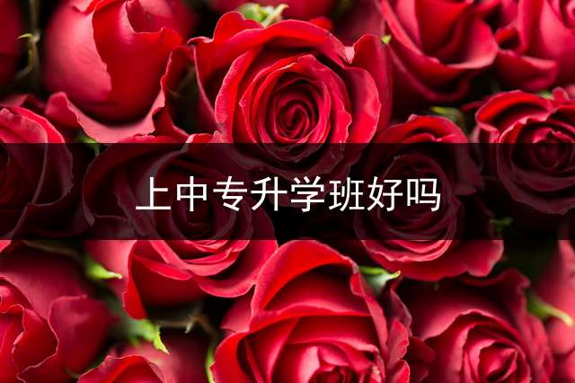 上中专升学班好吗？