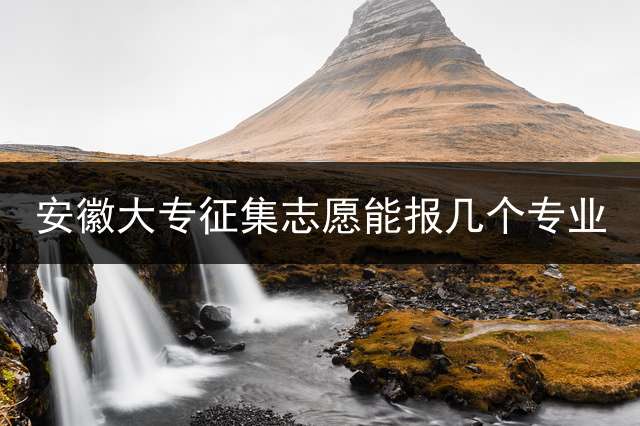 安徽大专征集志愿能报几个专业？
