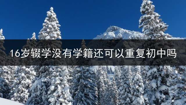 16岁辍学没有学籍还可以重复初中吗？