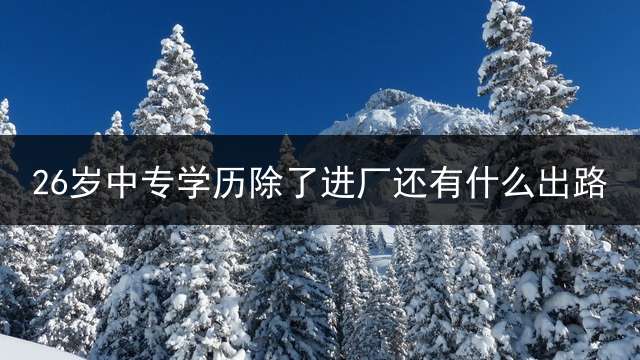 26岁中专学历除了进厂还有什么出路？