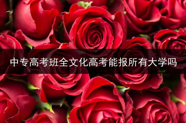 中专高考班全文化高考能报所有大学吗？