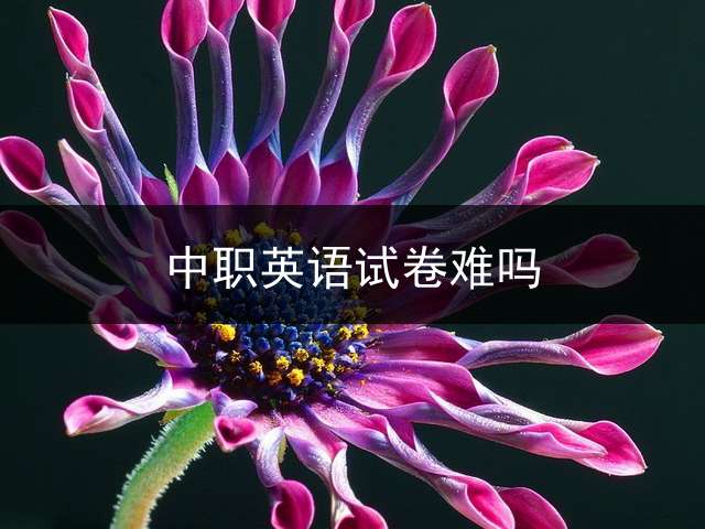 中职英语试卷难吗？