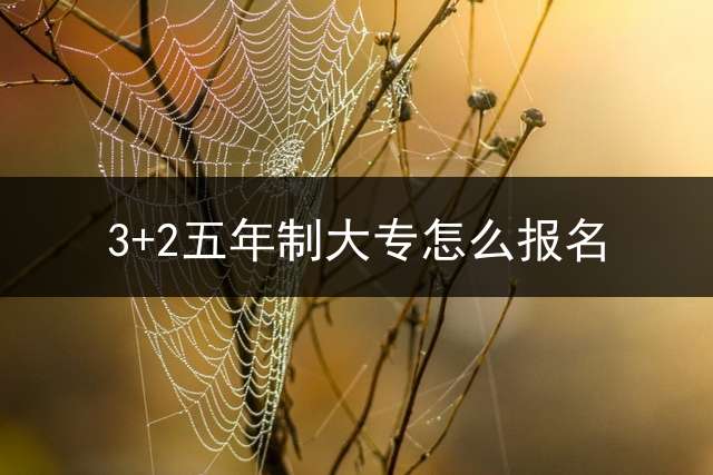 3+2五年制大专怎么报名？