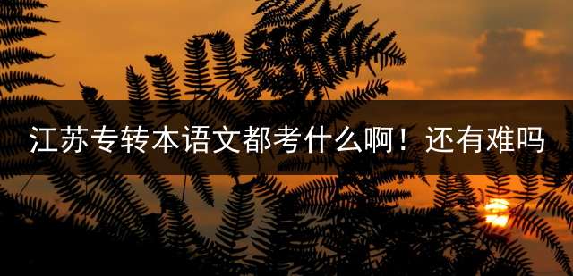 江苏专转本语文都考什么啊！还有难吗？