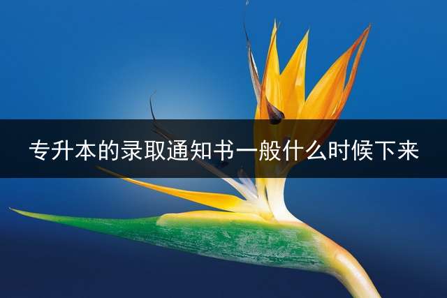 专升本的录取通知书一般什么时候下来？