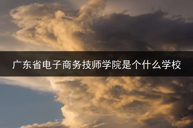 广东省电子商务技师学院是个什么学校？