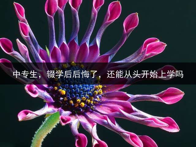 中专生，辍学后后悔了，还能从头开始上学吗？