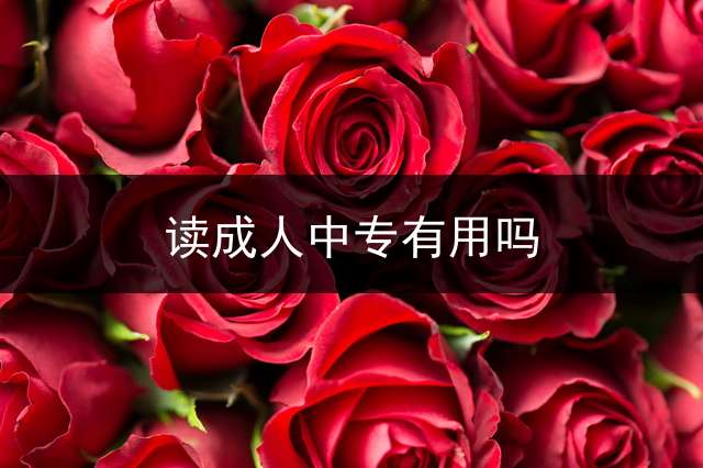 读成人中专有用吗？