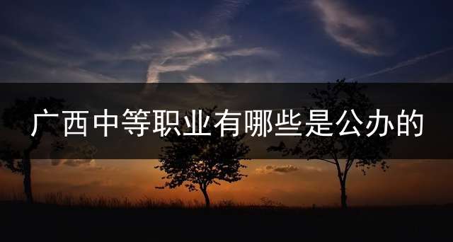 广西中等职业有哪些是公办的？ 广西中专学校排名，广西中专学校有哪些？