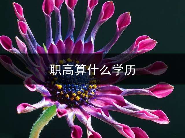 职高算什么学历？