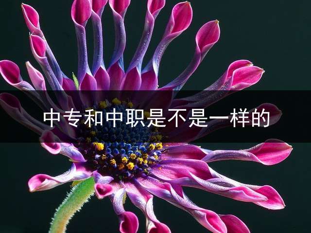 中专和中职是不是一样的？