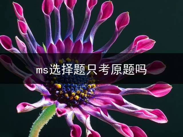 ms选择题只考原题吗？