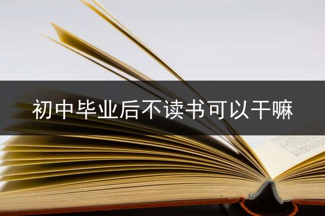 初中毕业后不读书可以干嘛？ (初中毕业不上学可以干嘛？)