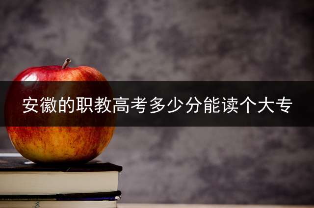 安徽的职教高考多少分能读个大专？