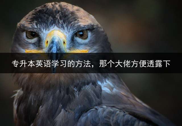 专升本英语学习的方法，那个大佬方便透露下？