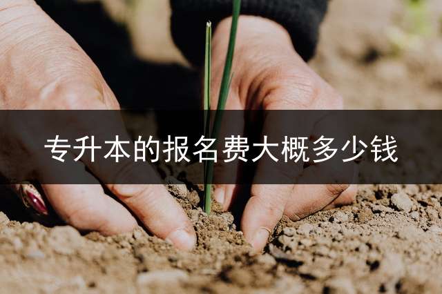 专升本的报名费大概多少钱？