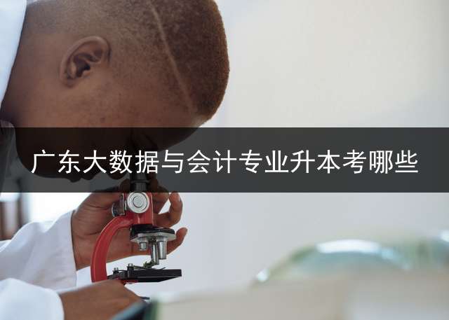 广东大数据与会计专业升本考哪些？