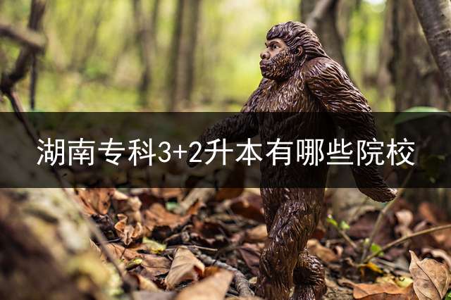 湖南专科3+2升本有哪些院校？