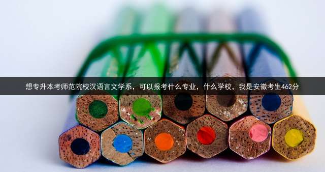 想专升本考师范院校汉语言文学系，可以报考什么专业，什么学校，我是安徽考生462分？