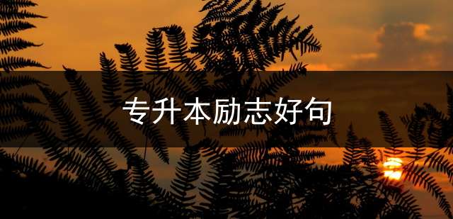 专升本励志好句？
