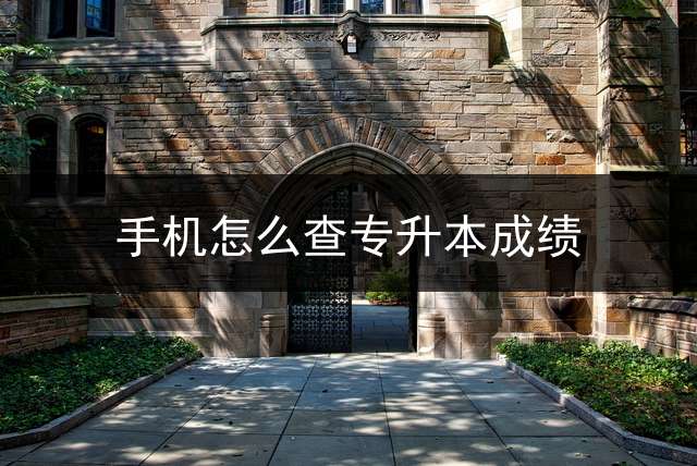 手机怎么查专升本成绩？ (有哪些适合高职学生用的专升本APP或者网站呢？)