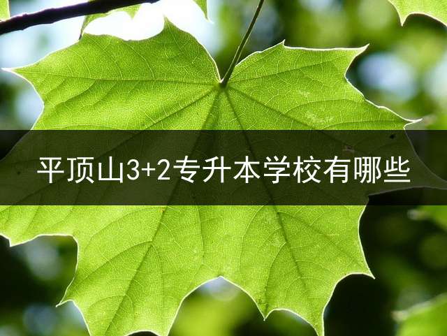 平顶山3+2专升本学校有哪些？