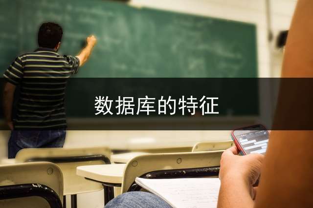数据库的特征？