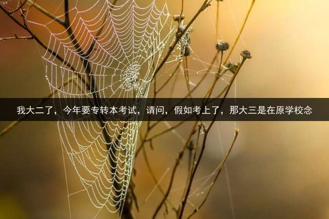 我大二了，今年要专转本考试，请问，假如考上了，那大三是在原学校念？