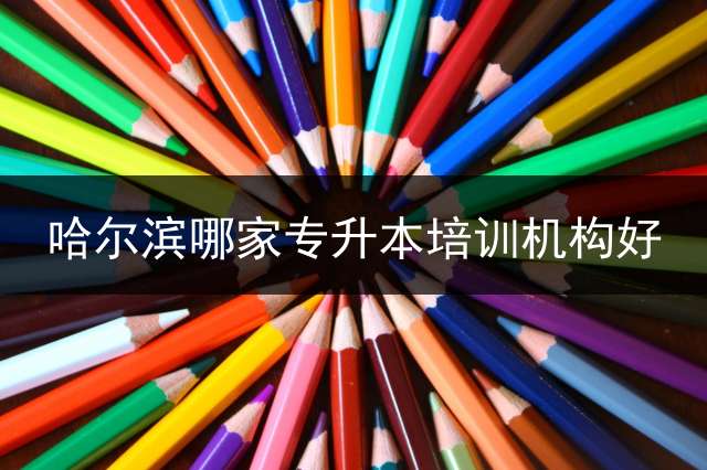 哈尔滨哪家专升本培训机构好？