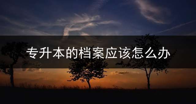 专升本的档案应该怎么办？