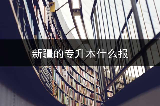 新疆的专升本什么报？