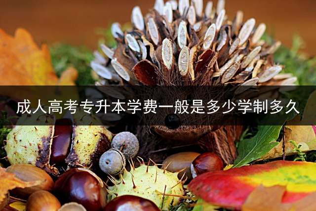 成人高考专升本学费一般是多少？学制多久？