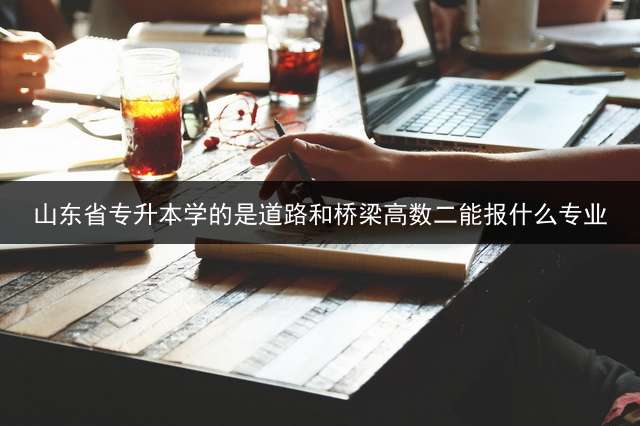 山东省专升本学的是道路和桥梁高数二能报什么专业？
