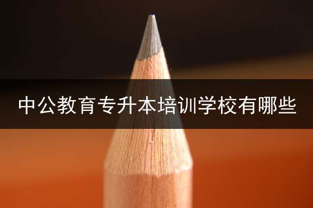 中公教育专升本培训学校有哪些？