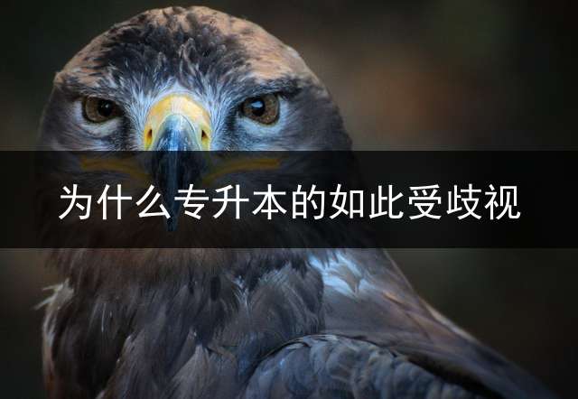 为什么专升本的如此受歧视？