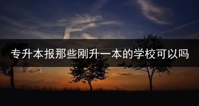 专升本报那些刚升一本的学校可以吗？
