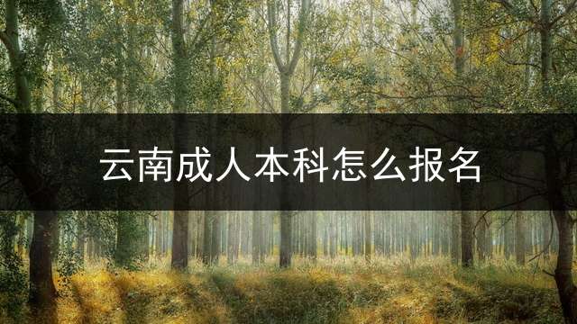 云南成人本科怎么报名？
