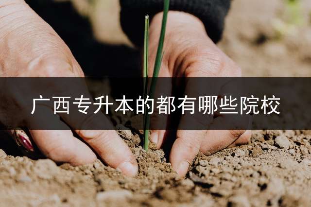 广西专升本的都有哪些院校？ 桂林师专2024能升本吗？