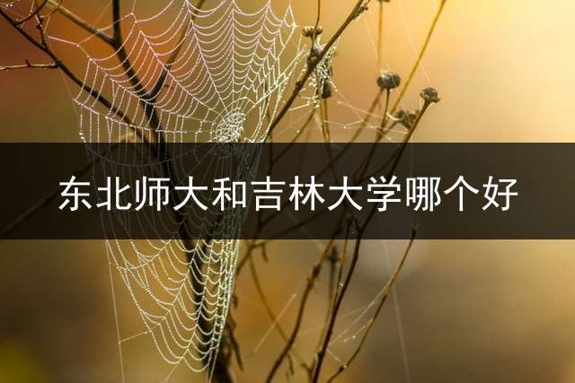东北师大和吉林大学哪个好？