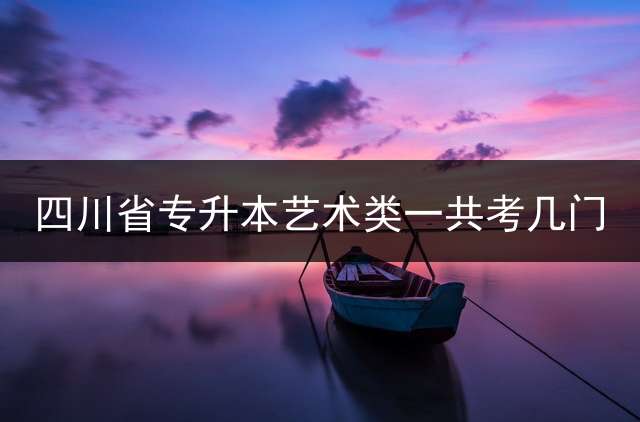 四川省专升本艺术类一共考几门？