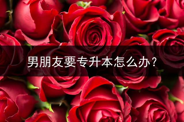 男朋友要专升本怎么办？