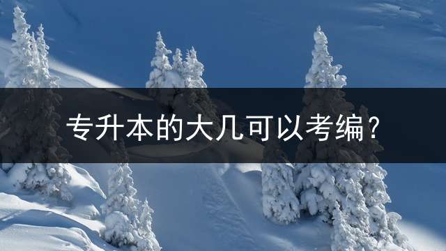 专升本的大几可以考编？
